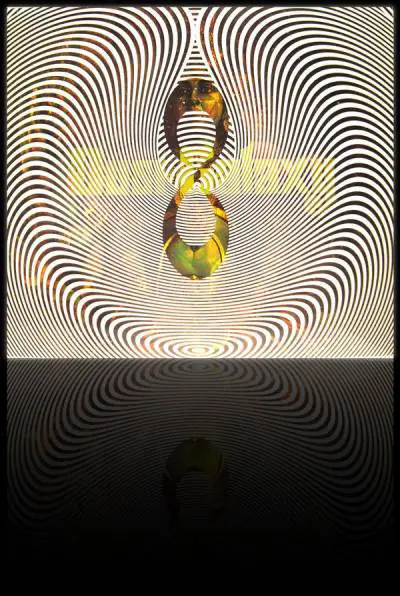 logo Dust Galaxy logo Dust Galaxy